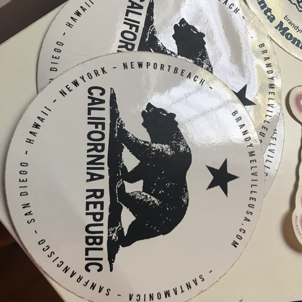 brandy melville stickers (w/vans,glossier&zumiez) - Picture 4 of 4